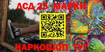 спиды Обь