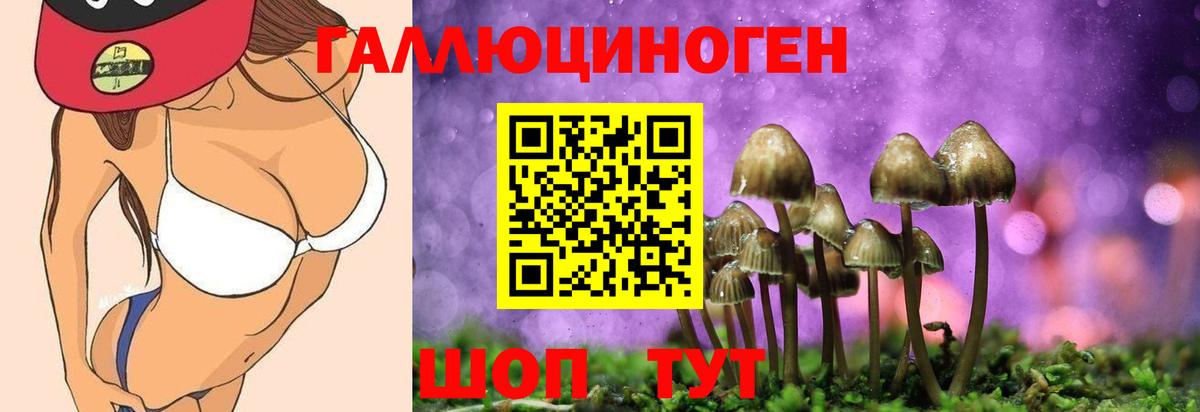 Галлюциногенные грибы прущие грибы Сунжа